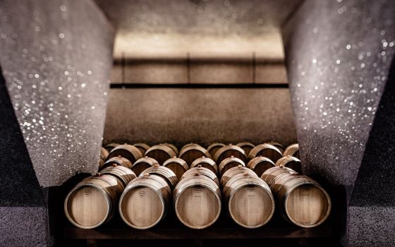 americanexpress-magazin-suedtirol-weingut-st-michel-stagestatic