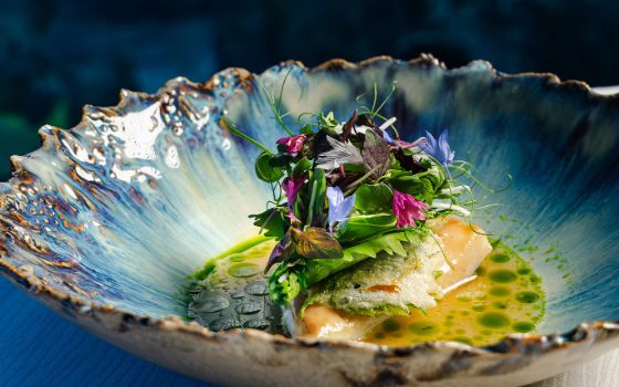 Auf einem blauen Muschelteller ist ein Gericht drapiert und mit verschiedenen Kräutern und Blüten verziert. 