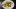 american-express-selects-dining-moments-restaurant-lago-horgen-2