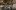 american-express-selects- dining-moments-guarda-val-2