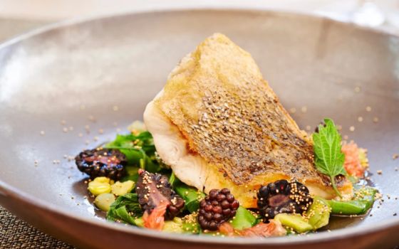 american-express-selects-top-story-wellness-guide-2026-9