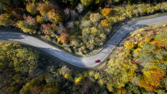 american-express-selects-newsletter-2026-hertz-1