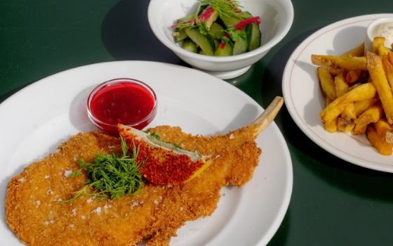 Panierte Kalbskoteletts serviert mit Preiselbeersauce, knusprigen Pommes frites und Gurkensalat mit frischen Kräutern – angerichtet auf drei Tellern auf einem grünen Tisch.