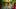 americanexpress-microsites-gold-tof-dining-mediaslider