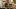 american-express-selects-shop-small-mario-buckard-blumen