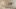 american-express-selects-hotel-winter-promotion-2025-badrutt-palace-2