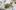 american-express-selects-neuste-partner-restaurant-roessli-stalden-2-e-nl-2026