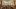 american-express-selects-summer-special-2025-hotel-waldhaus-1