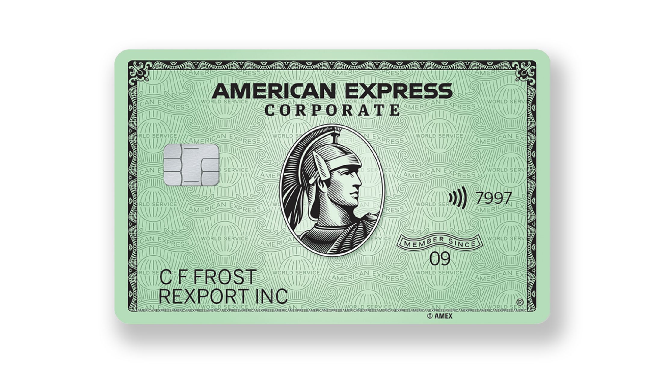American Express Corporate Card American Express Svizzera