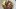 american-express-selects-restaurant-bayleaf-3