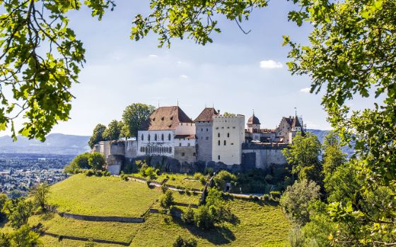 Burganlage auf einem begrünten Hügel bei Sonnenschein, im Vordergrund grüne Baumzweige. 