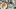 american-express-selects-gmpop-granola