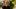 american-express-magazin-chef-portrait-markus-stoeckle-stagestatic