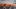 american-express-selects-neue-partner-balik-lachs-2