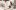 americanexpress-microsites-gold-tof-shopping-stagestatic