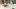 american-express-selects-hotel-deltapark-resort-1