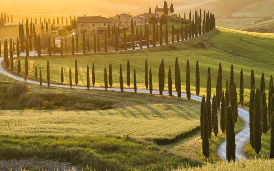 Zypressengesäumte Landstrasse zu Weingut in der Toskana im goldenen Licht des Sonnenuntergangs