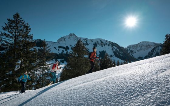 Eine Gruppe wandert in Schneeschuhen einen verschneiten Hügel hinauf, die Sonne scheint, im Hintergrund Berge. 