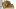 american-express-selects-viollaz-2