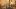 americanexpress-benefits-dining-lora-stagestatic