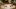 american-express-selects-ax-dining-moments-restaurant-conca-bella-1