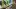 american-express-neue-partner-icrash-1