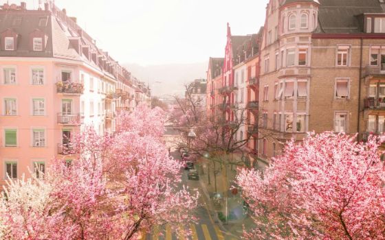 american-express-selects-asia-03-2026-4