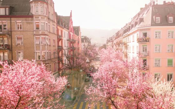 american-express-selects-asia-03-2026-4