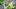 american-express-selects-gmpop-wawas