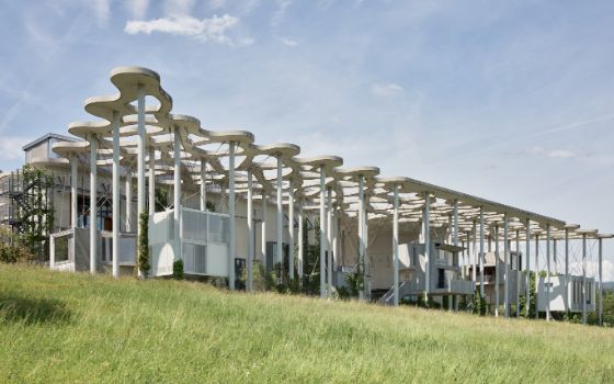 Ein weisses modernes Gebäude mit organischer Deckenkonstruktion und vielen Säulen steht in einer grünen Landschaft vor blauem Himmel. 