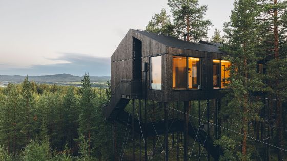 Modernes, grosses Baumhaus mit beleuchteten Panoramafenstern in Baumkronen vor einem Landschaftspanorama im Dämmerlicht.
