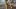 american-express-selects-lifestyle-mansworld-3-2026