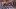 american-express-selects-newsletter-mai-2026-shopping-tropical-bike-2