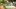 american-express-selects-hotels-seerose-resort-und-spa-1