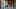 american-express-selects-summer-special-2025-the-capra-1