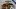 american-express-selects-shop-small-chat-noir-winner-1