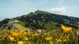american-express-lifestyle-rigi-2