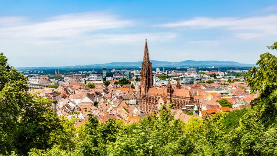 Stadtpanorama von Freiburg mit gotischer Kirche, im Vordergrund grüne Bäume.
