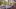 american-express-selects-hotel-schweizerhof-flims-2024-1