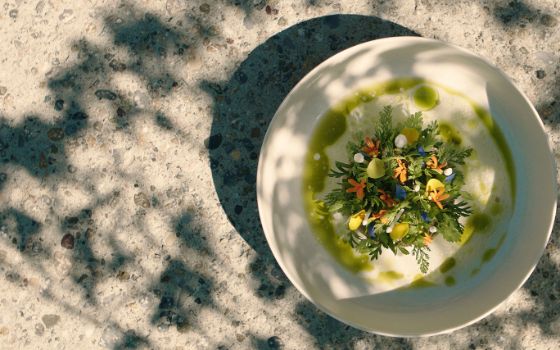 Auf einer Steinplatte im Schatten steht ein Teller mit einer Suppe, garniert mit Kräutern und Blumen.